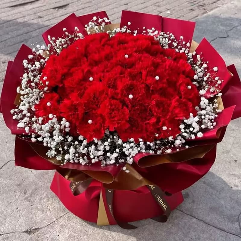A gift for my mother, 99 red carnations - Send carnations to China