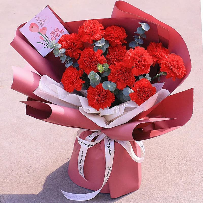 Greetings on Mother's Day, 11 red carnations