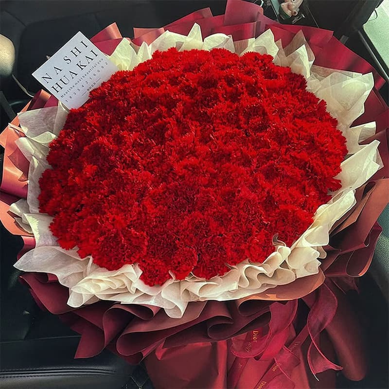 Pine crane symbolizes longevity, adorned with 99 red carnations - Send carnations to China