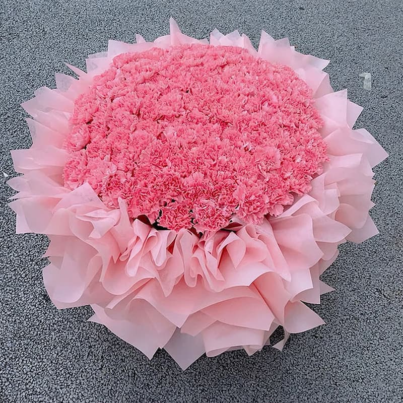 For the longevity of Song Qiao, 99 pink carnations - Send carnations to China