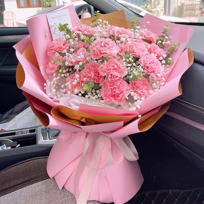 Pink Mother's Day, 19 pink carnations - Send carnations to China
